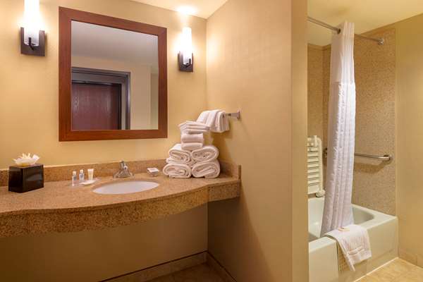 Suite - Comfort Suites Goodyear - I-10, Exit 126