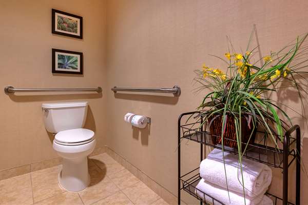 Suite - Comfort Suites Goodyear - I-10, Exit 126