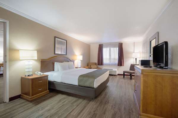 Suite - Quality Inn & Suites Lake Havasu City