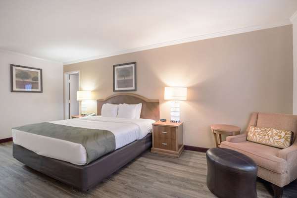Suite - Quality Inn & Suites Lake Havasu City