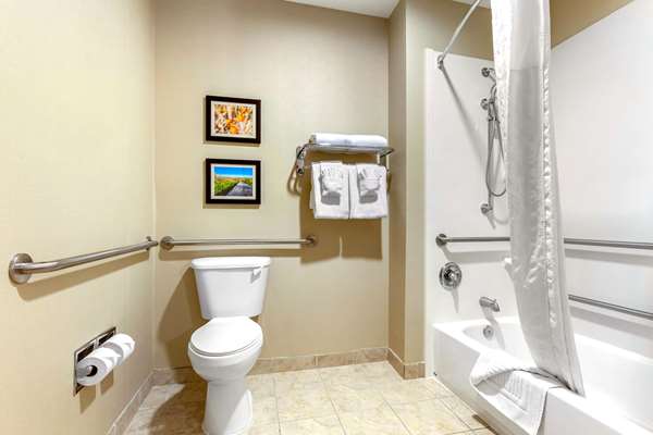 Suite - Comfort Suites Glendale - I-10, Exit 133