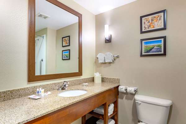 Suite - Comfort Suites Glendale - I-10, Exit 133