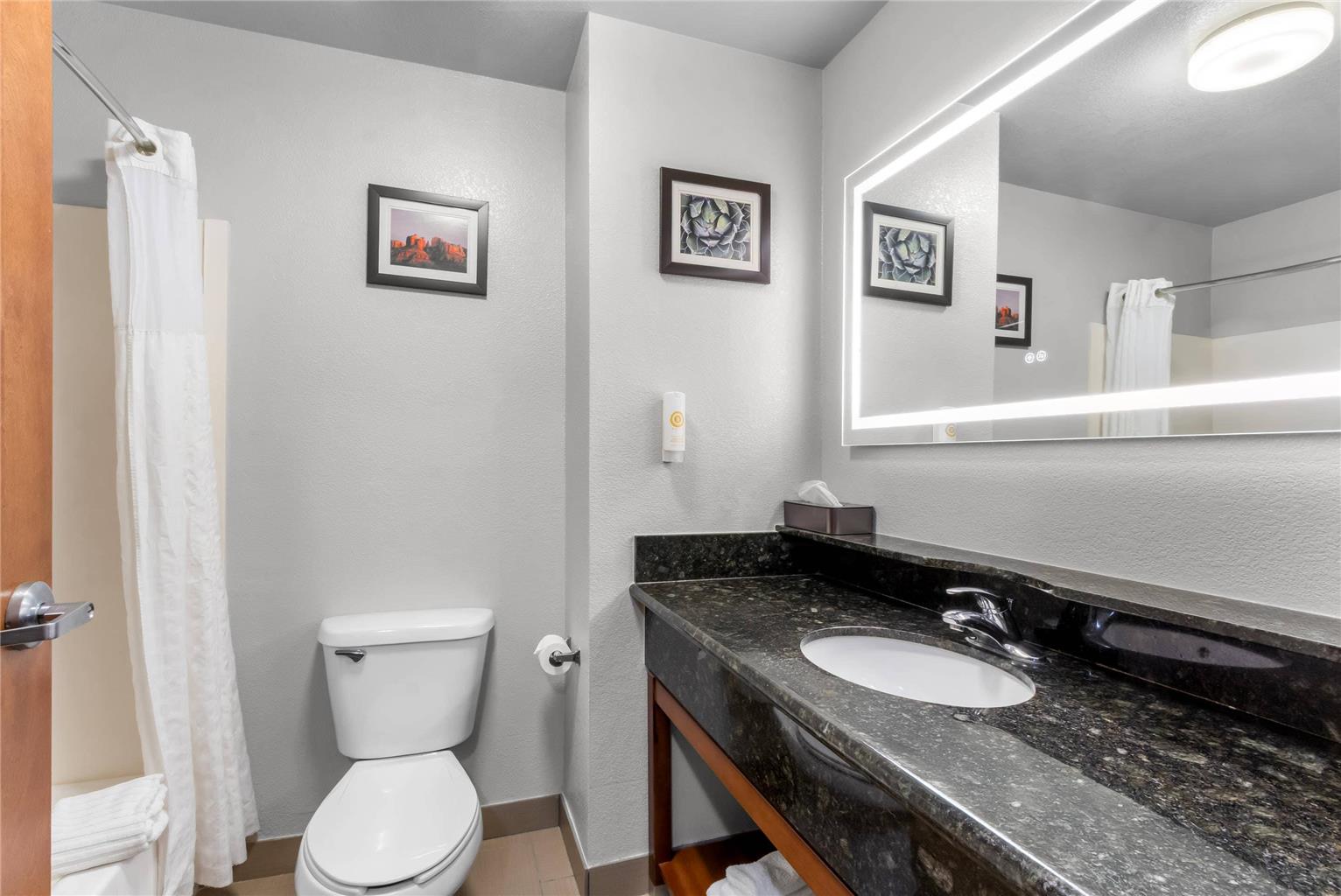 COMFORT INN AND SUITES THATCHER - S-guestroom-Guest Room,Bathroom,On-Site.jpg