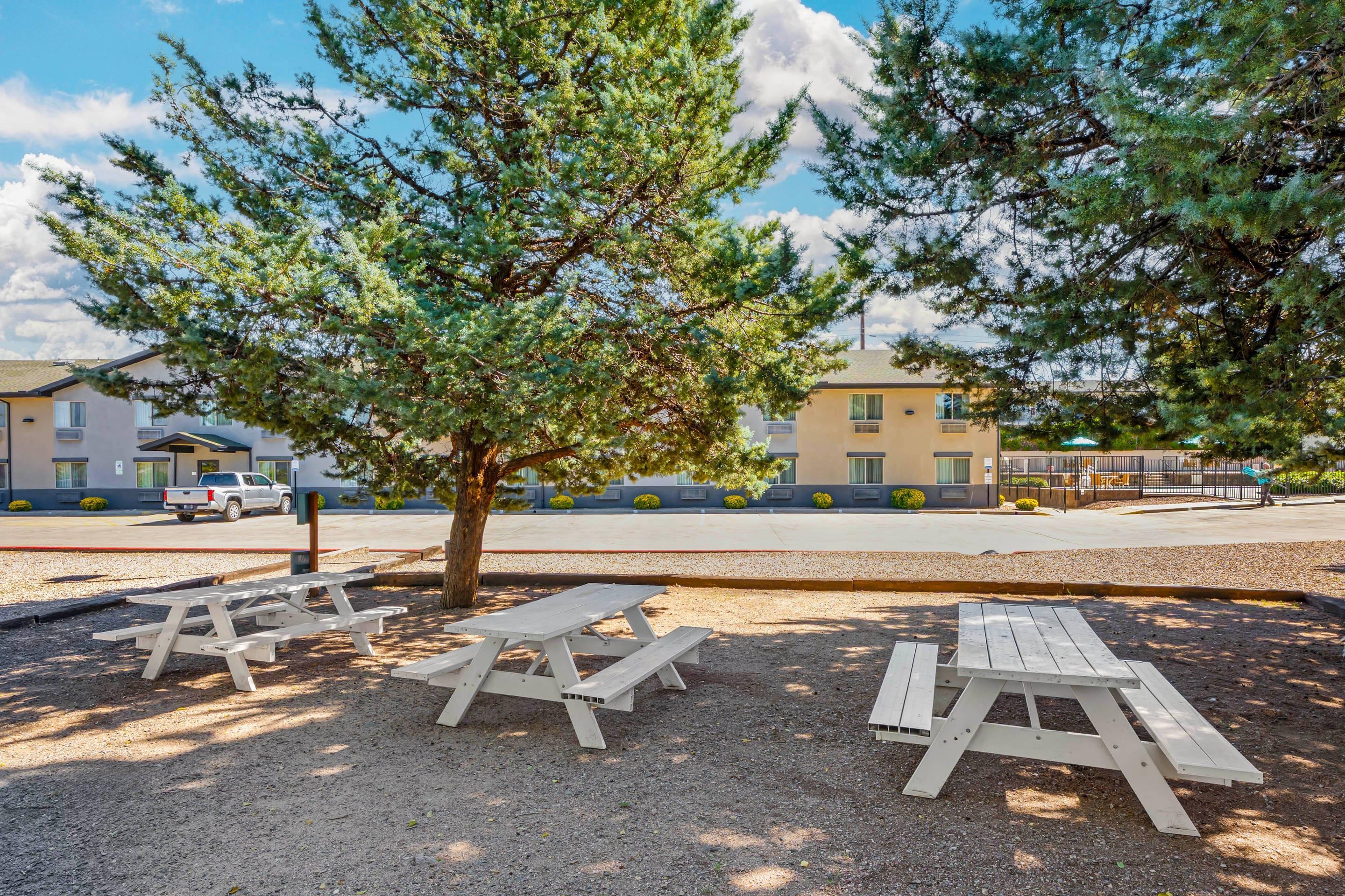 Picnic area