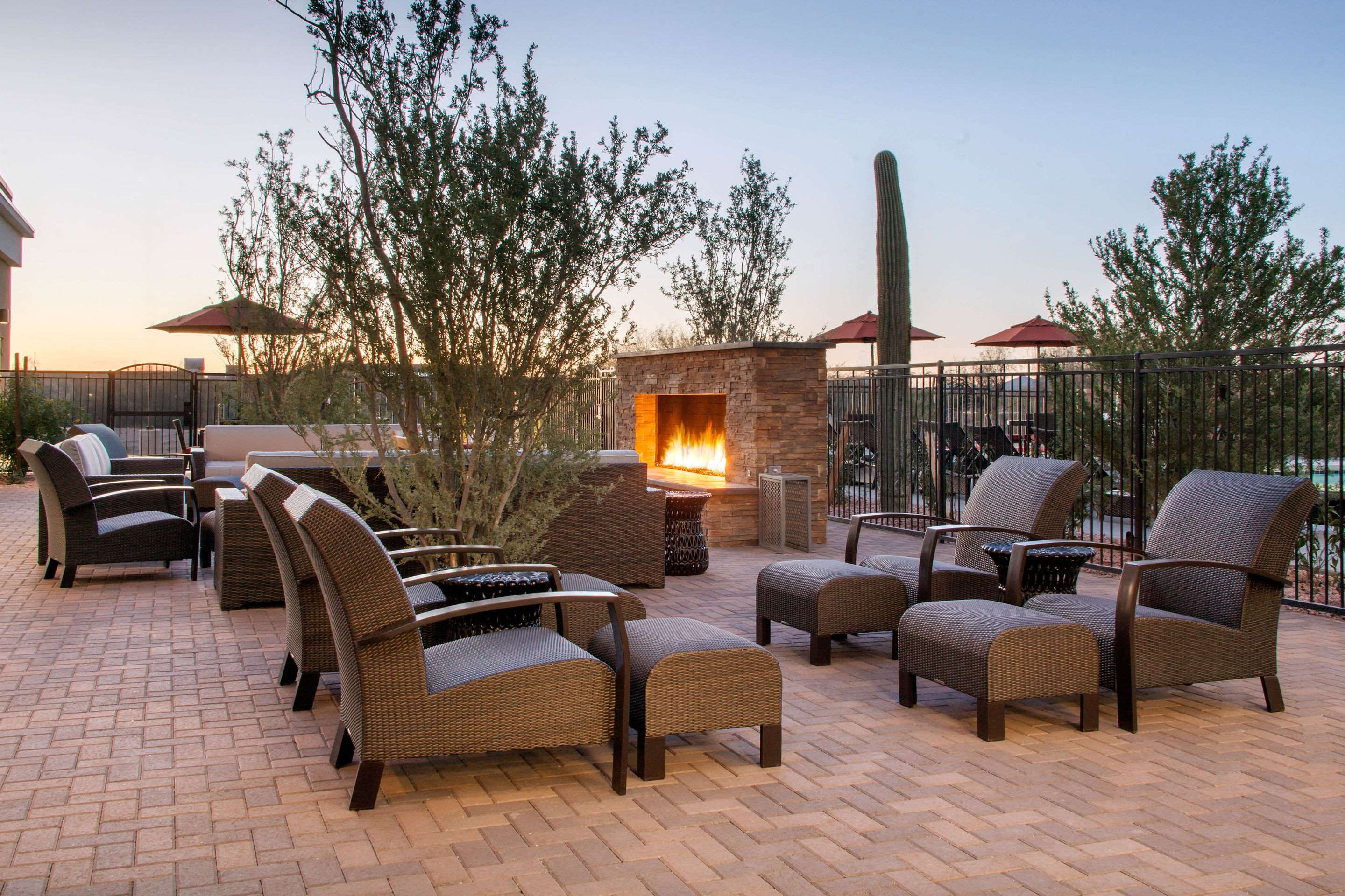 Relax on the hotel patio | Cambria Hotel Phoenix - North Scottsdale