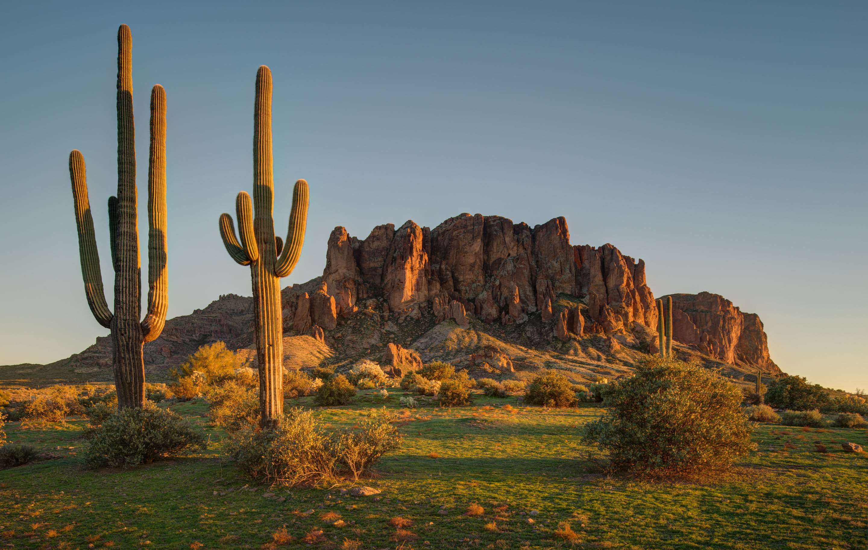 Area attraction | Cambria Hotel Phoenix - North Scottsdale