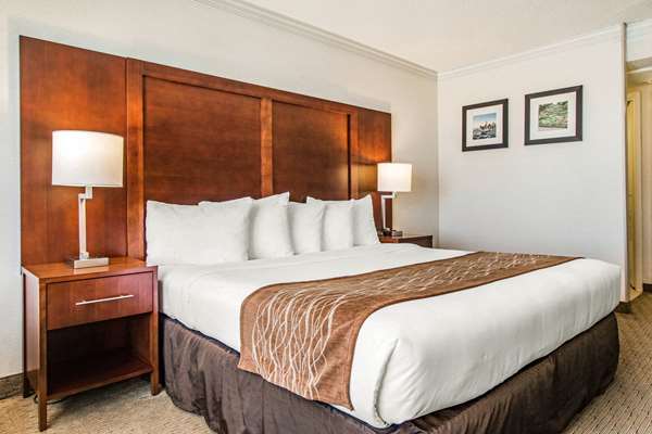  - Comfort Inn by the Bay San Francisco