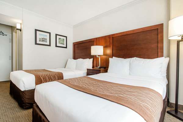 - Comfort Inn by the Bay San Francisco