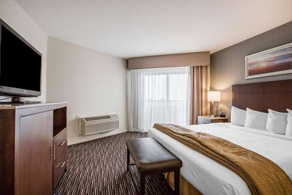 Suite - Quality Inn & Suites Hermosa Beach