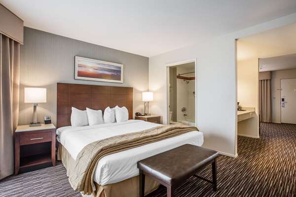 Suite - Quality Inn & Suites Hermosa Beach
