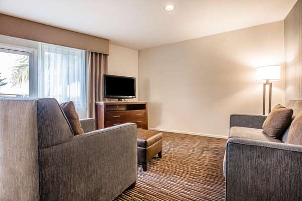 Suite - Quality Inn & Suites Hermosa Beach