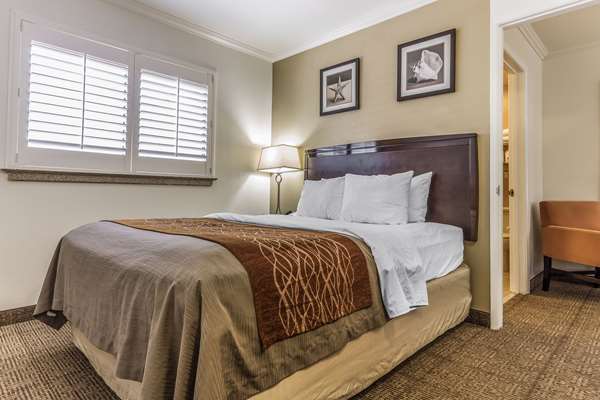 Suite - Comfort Inn Santa Cruz