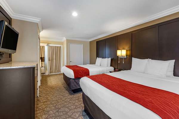 Suite - Comfort Suites San Clemente - I-5, Exit 72
