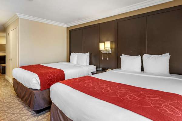 Suite - Comfort Suites San Clemente - I-5, Exit 72