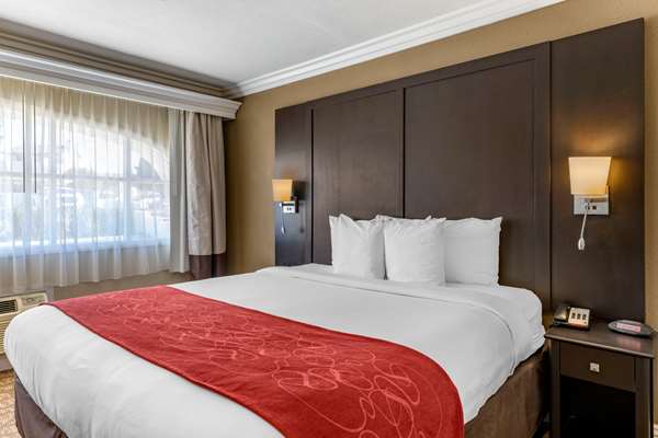 Suite - Comfort Suites San Clemente - I-5, Exit 72