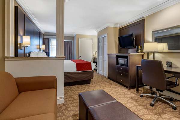 Suite - Comfort Suites San Clemente - I-5, Exit 72