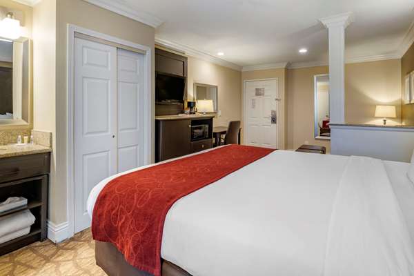 Suite - Comfort Suites San Clemente - I-5, Exit 72