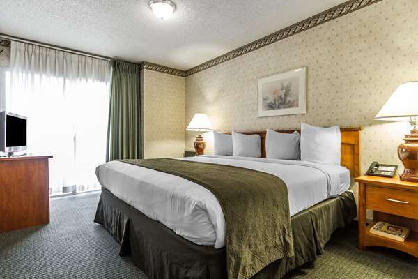 Suite - Quality Inn & Suites Silicon Valley Santa Clara