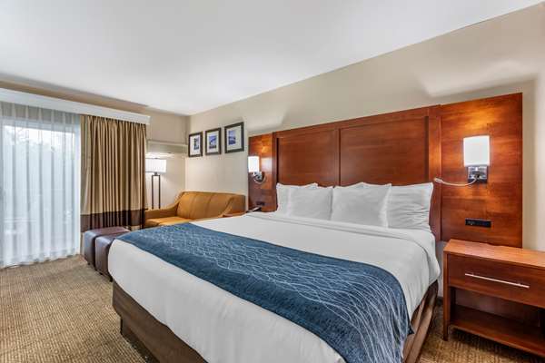 Guest Room,On-Site