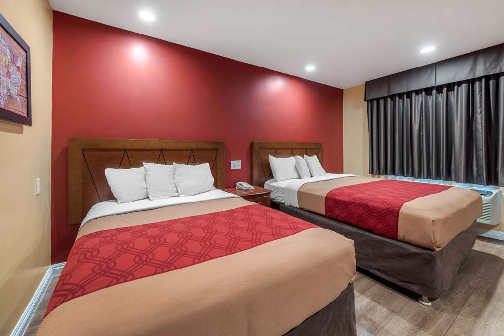 RODEWAY INN CARSON - LOS ANGELES SO-guestroom-Guest Room,On-Site.jpg