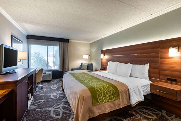  - Comfort Inn & Suites Anaheim - I-5, Exit 109