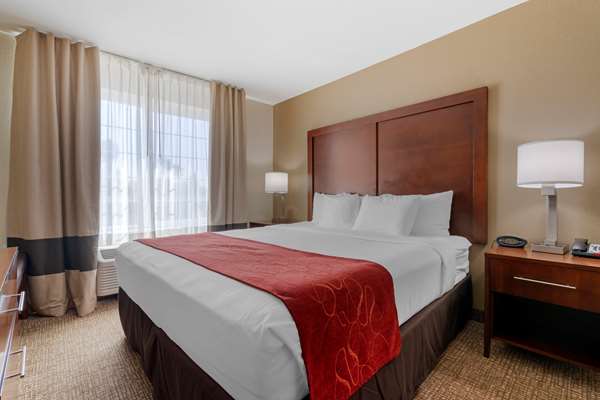 Suite - Comfort Suites Downtown Sacramento - I-5, Exit 520