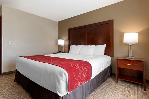 Suite - Comfort Suites Downtown Sacramento - I-5, Exit 520