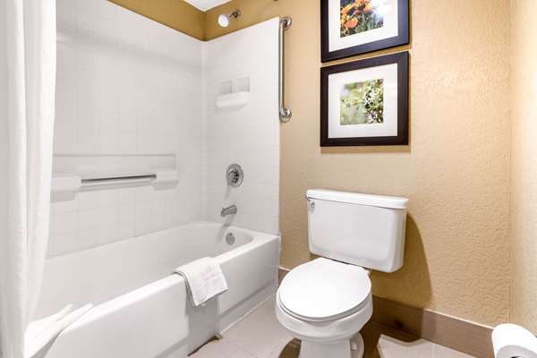  - Comfort Inn Lathrop - I-5, Exit 463