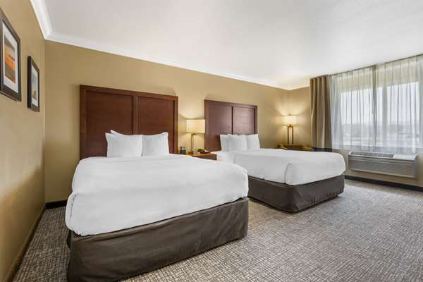 Guest Room,On-Site
