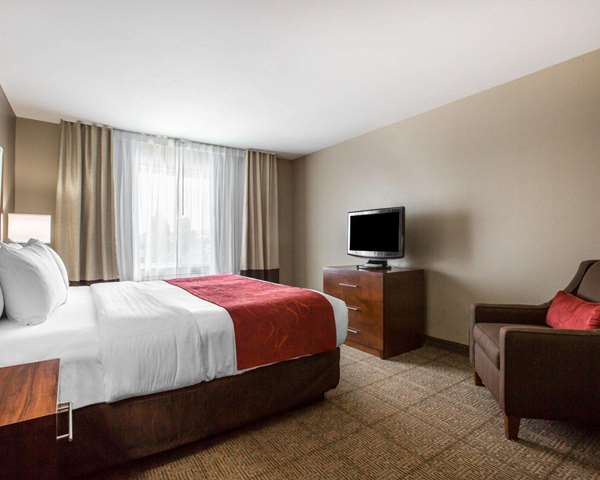 Suite - Comfort Suites Victorville - I-15, Exit 147