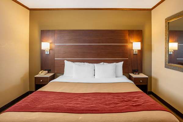  - Comfort Inn at the Harbor San Diego