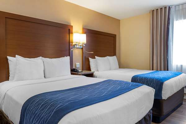  - Comfort Inn Gaslamp Convention Center San Diego