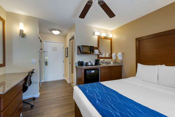  - Comfort Inn Gaslamp Convention Center San Diego