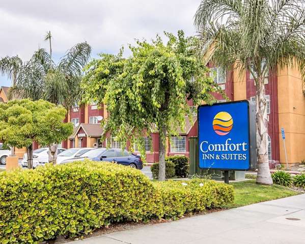 Exterior view - Comfort Inn & Suites Salinas - US 101, Exit 328