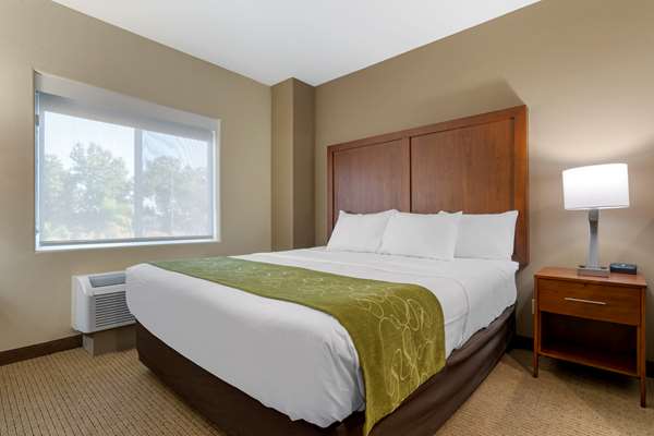 Suite - Comfort Suites Marysville