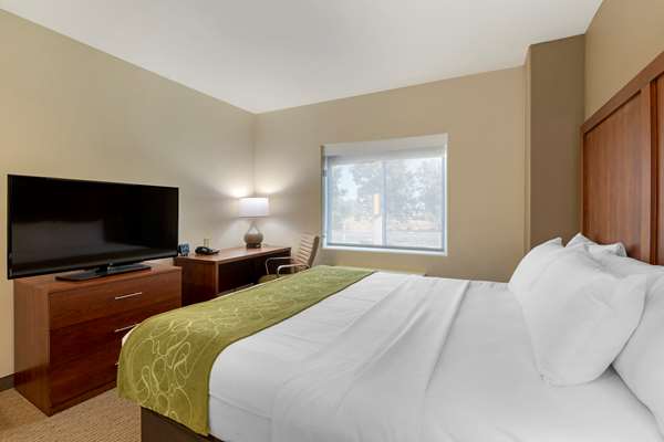 Suite - Comfort Suites Marysville