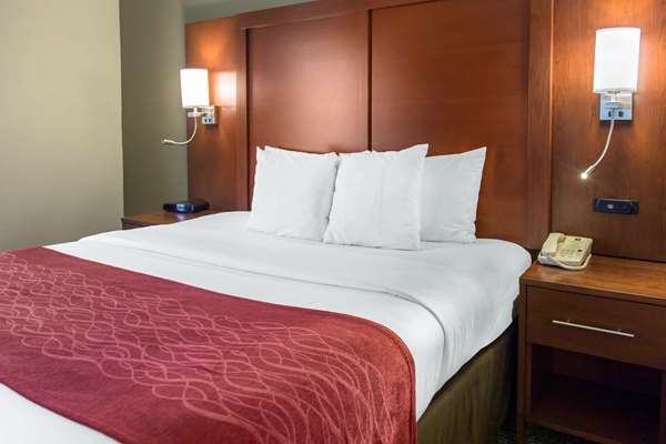 Suite - Comfort Inn & Suites SFO Airport South San Francisco