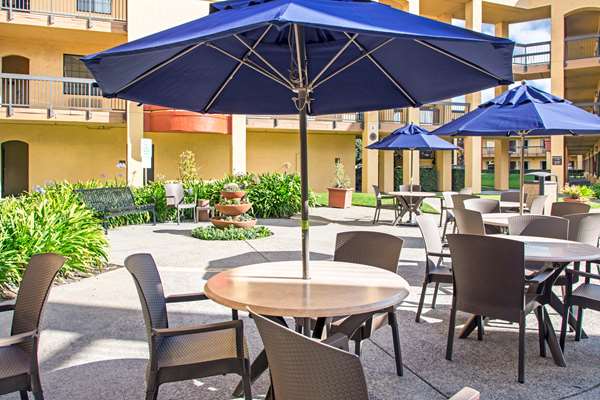 Pool - Comfort Inn & Suites SFO Airport South San Francisco