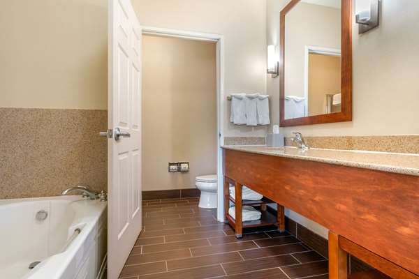 Suite - Comfort Inn & Suites Galt