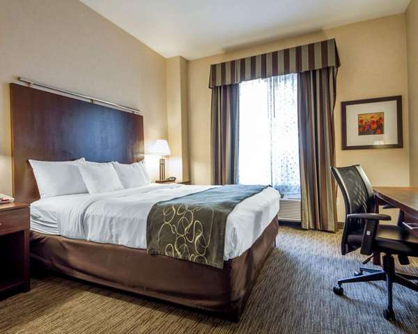 Suite - Comfort Suites Turlock - CA 99, Exit 214