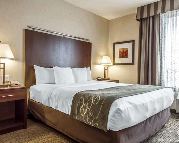 Suite - Comfort Suites Turlock - CA 99, Exit 214
