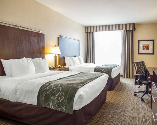 Suite - Comfort Suites Turlock - CA 99, Exit 214
