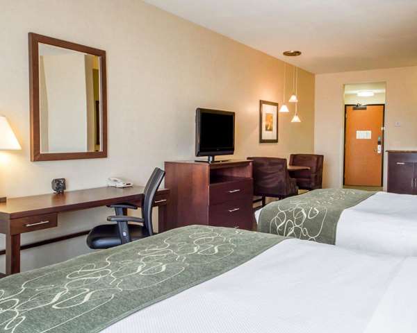Suite - Comfort Suites Turlock - CA 99, Exit 214