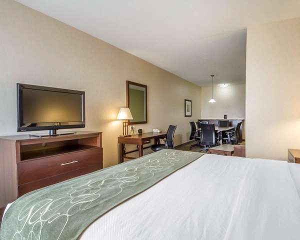 Suite - Comfort Suites Turlock - CA 99, Exit 214