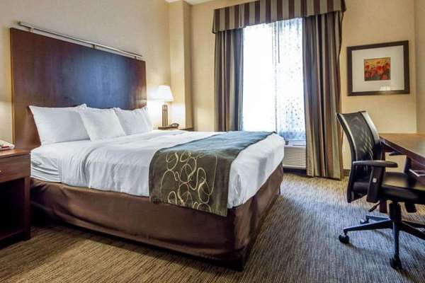Suite - Comfort Suites Turlock - CA 99, Exit 214