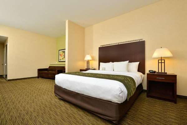Suite - Comfort Suites Turlock - CA 99, Exit 214