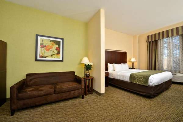 Suite - Comfort Suites Turlock - CA 99, Exit 214