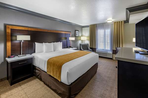  - Comfort Inn & Suites North Hollywood