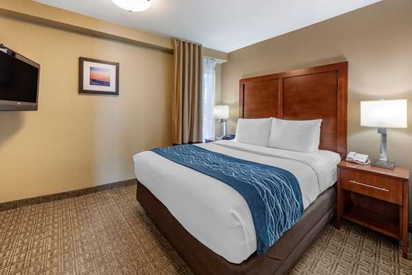 Suite - Comfort Inn Ventura - US 101, Exit 68