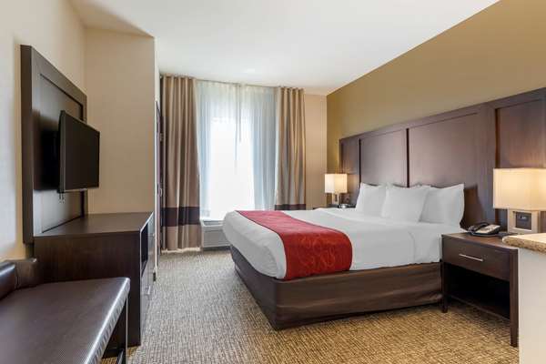 Suite - Comfort Suites Airport Ontario